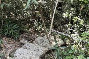 Zanzibar: Tur til krydderfarm og guidet vandring i Stone Town