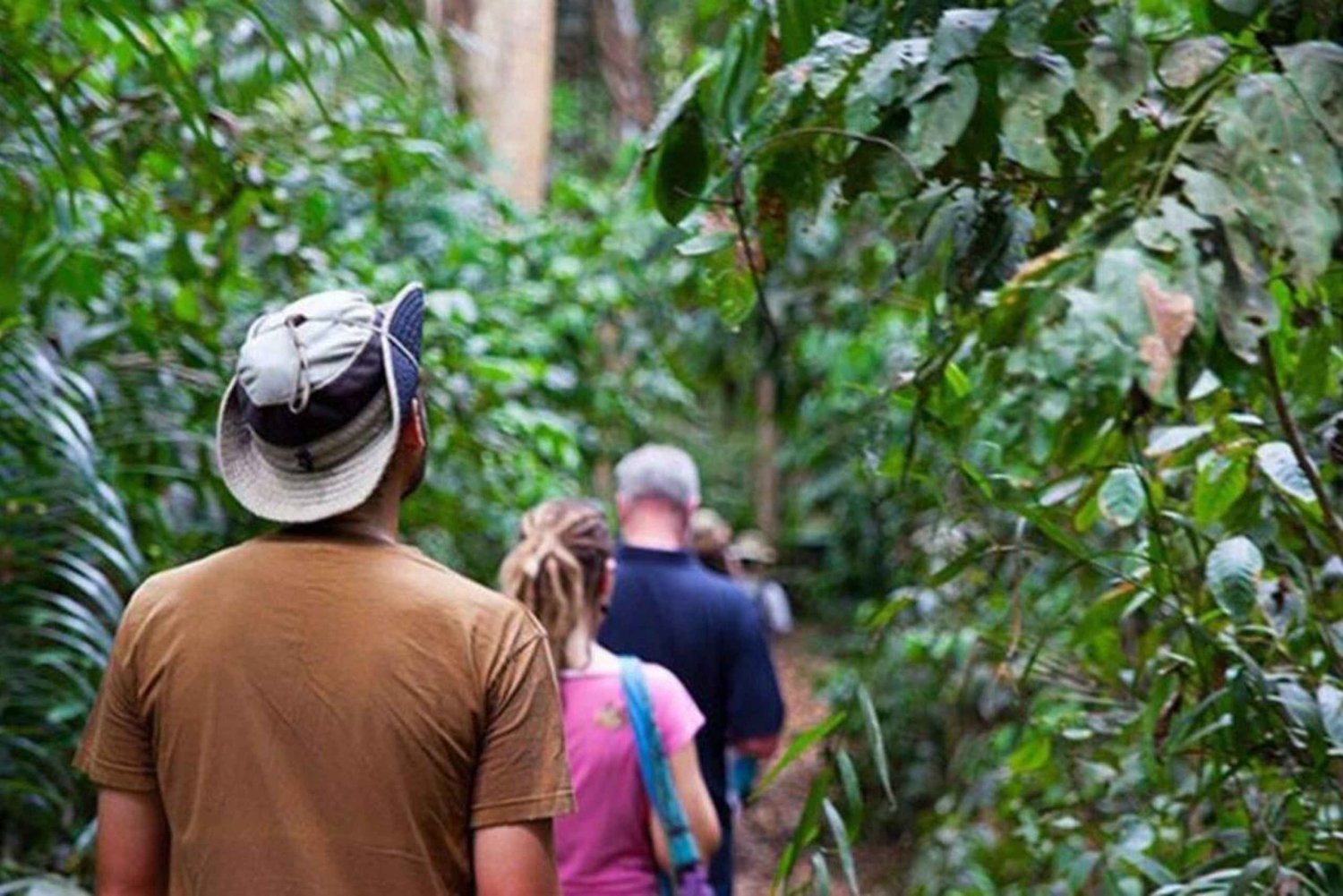 ZANZIBAR: Salaam Cave, Prison Island & Jozani Forest Tour