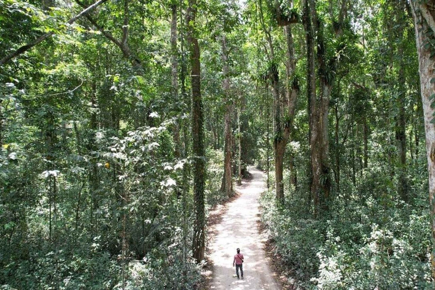 ZANZÍBAR: Cueva de Salaam, Isla Prisión y excursión al bosque de Jozani