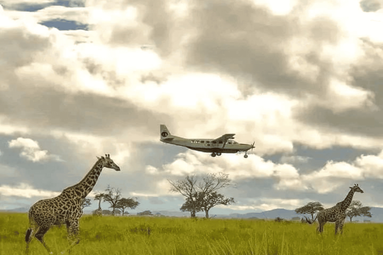 Zanzibar: Safari de 3 dias no Parque Nacional de Mikumi