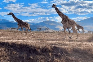 Zanzibar: Safari de 3 dias no Parque Nacional de Mikumi