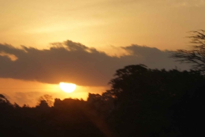 Zanzibar: Mikumi National Park 3-Day Safari with Train