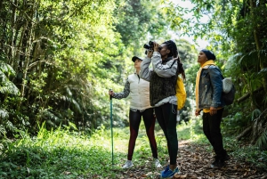 Sansibar: Mikumi-Safari und Udzungwa-Wasserfall
