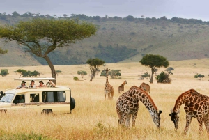 Sansibar: Mikumi-Safari und Udzungwa-Wasserfall