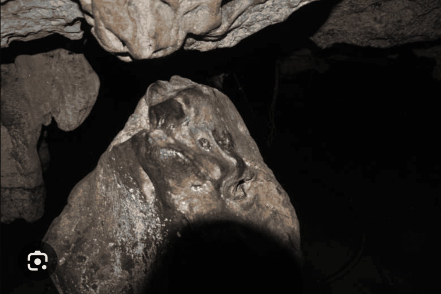 Zanzibar: Miza wa Miza-hulen, Jozani-skogen og Salam-hulen