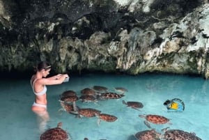 Zanzibar: Miza wa Miza-hulen, Jozani-skogen og Salam-hulen