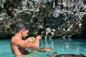 Zanzibar: Miza wa Miza-hulen, Jozani-skogen og Salam-hulen