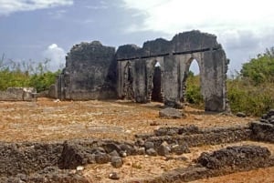 Zanzibar: Uzi Island Mangrove forest Kayaking & Village Tour