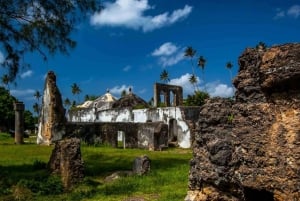 Zanzibar: Uzi Island Mangrove forest Kayaking & Village Tour