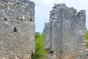 Zanzibar: Uzi Island Mangrove forest Kayaking & Village Tour