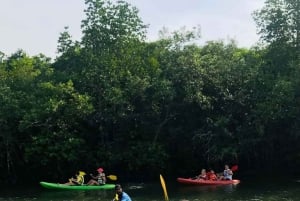 Zanzibar: Uzi Island Mangrove forest Kayaking & Village Tour