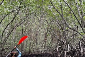 Zanzibar: Uzi Island Mangrove forest Kayaking & Village Tour