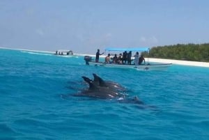 Zanzibar : excursion dauphins et snorkeling à l'atoll de Mnemba