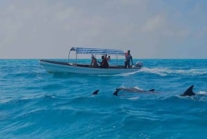 Zanzibar : excursion dauphins et snorkeling à l'atoll de Mnemba
