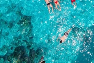 Zanzibar : excursion dauphins et snorkeling à l'atoll de Mnemba