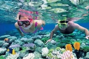 Zanzibar : excursion dauphins et snorkeling à l'atoll de Mnemba