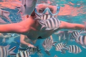 Zanzibar: Atol Mnemba – delfiny i nurkowanie z rurką