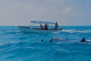 Zanzibar: Atol Mnemba – delfiny i nurkowanie z rurką