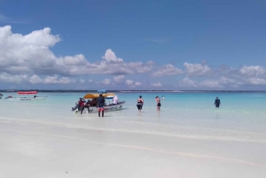 Zanzibar: Mnemba Atoll Marine Reserve Snorkeling Tour