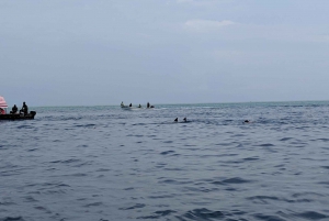 Zanzibar: Mnemba Atoll Marine Reserve Snorkeling Tour