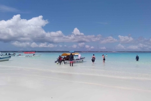 Zanzibar: excursão de mergulho com snorkel na Reserva Marinha do Atol de Mnemba