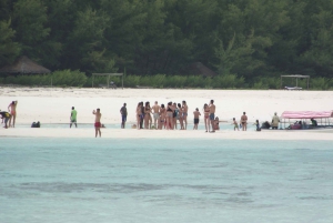 Zanzibar: excursão de mergulho com snorkel na Reserva Marinha do Atol de Mnemba