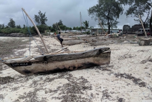 Zanzibar: excursão de mergulho com snorkel na Reserva Marinha do Atol de Mnemba