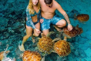 Zanzibar: Mnemba Atoll, Mnarani Aquarium & Nungwi Beach