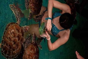 Zanzibar: Mnemba Atoll, Mnarani Aquarium & Nungwi Beach