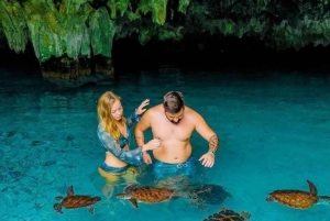 Zanzibar: Mnemba Atoll, Mnarani Aquarium & Nungwi Beach