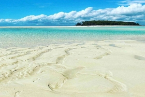 Zanzibar: Mnemba Atoll, Mnarani Aquarium & Nungwi Beach