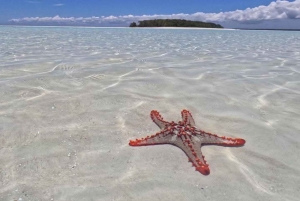 Zanzibar: Mnemba Atoll, Mnarani Aquarium & Nungwi Beach