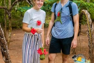 Занзибар: атолл Мнемба, ферма специй и лес Джозани