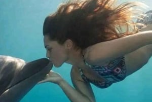 Sansibar: Mnemba Atoll Uinti ja snorklaus delfiinien kanssa