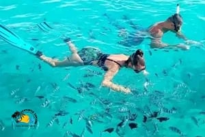 Sansibar: Mnemba Atoll Uinti ja snorklaus delfiinien kanssa