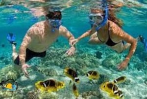 Zanzibar: gita sull'atollo di Mnemba ed esperienza di snorkeling con i delfini