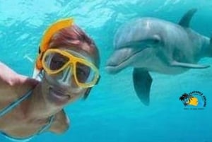 Zanzibar: gita sull'atollo di Mnemba ed esperienza di snorkeling con i delfini