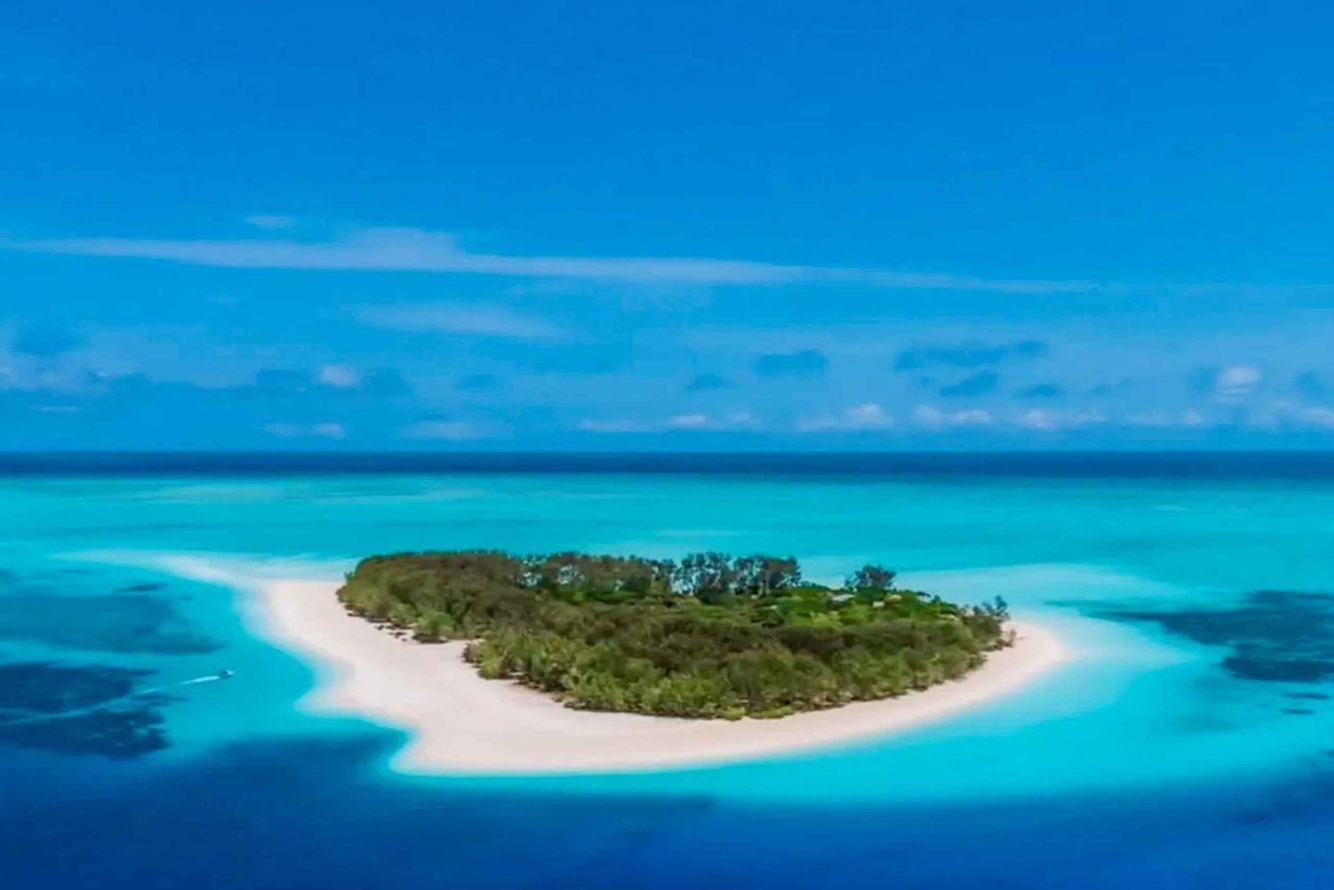 Zanzibar : safari bleu et dauphins à Mnemba