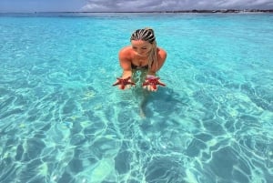 Zanzibar : safari bleu et dauphins à Mnemba