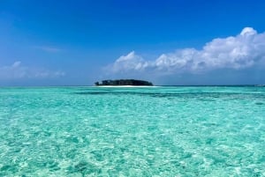 Zanzibar : safari bleu et dauphins à Mnemba