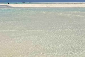 Zanzibar : safari bleu et dauphins à Mnemba