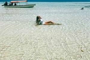 Zanzibar : safari bleu et dauphins à Mnemba