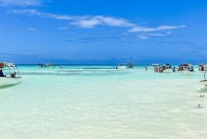 Zanzibar : safari bleu et dauphins à Mnemba
