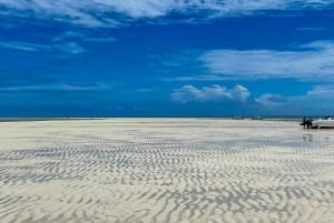 Zanzibar : safari bleu et dauphins à Mnemba