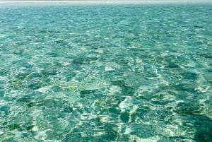 Zanzibar : safari bleu et dauphins à Mnemba