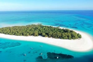 Fra Zanzibar: Mnemba bådtur med delfiner