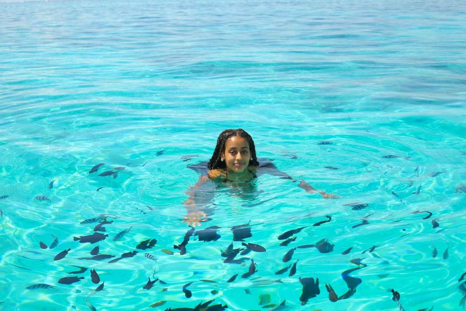 Zanzibar : Dauphins de Mnemba, aquarium de tortues marines et plage de Kendwa