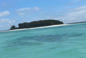 Zanzibar: Mnemba-delfiner, havssköldpaddor i akvarium och Kendwa Beach