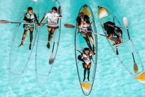 Zanzibar: Mnemba – uima delfiinien kanssa ja läpinäkyvä kajakki dronella