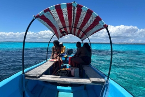 Zanzibar: Mnemba och simma med delfiner med lunch som tillval